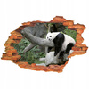Naklejka na ścianę 3D Panda śpiąca na drzewie 90 cm na 60 cm