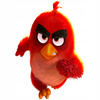 Naklejka na ścianę Angry Birds Czerwony biegnie  90 cm na 60 cm 